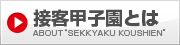 SEKKYAKU甲子園とは
