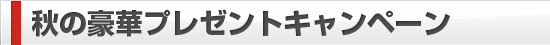 燃えろ!!甲子宴〜秋の全国一斉取材〜ユーザープレゼントキャンペーン