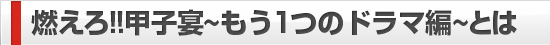 燃えろ!!甲子宴〜もう一つのドラマ編〜とは