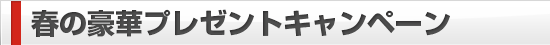 燃えろ!!甲子宴〜春の全国一斉取材〜ユーザープレゼントキャンペーン