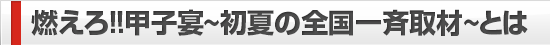 燃えろ!!甲子宴〜初夏の全国一斉取材〜とは