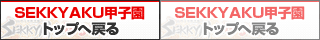 SEKKYAKU甲子園トップへ戻る