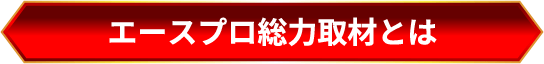 エースプロ 総力取材とは