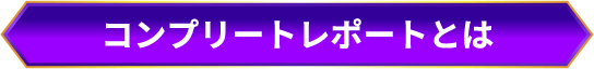 コンプリートレポートとは