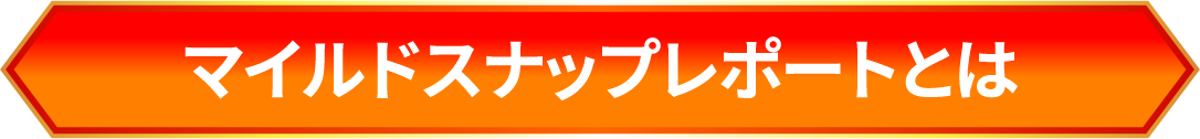 マイルドスナップレポートとは